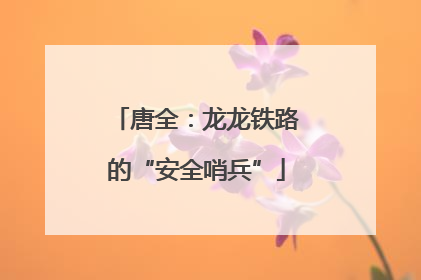 唐全：龙龙铁路的“安全哨兵”