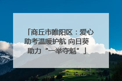 商丘市睢阳区：爱心助考温暖护航 向日葵助力“一举夺魁”