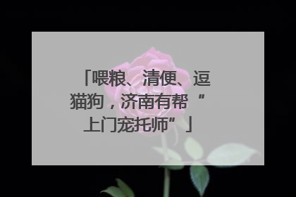 喂粮、清便、逗猫狗，济南有帮“上门宠托师”