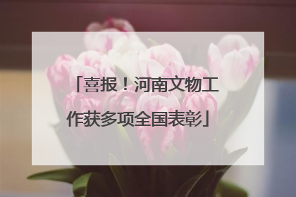 喜报！河南文物工作获多项全国表彰