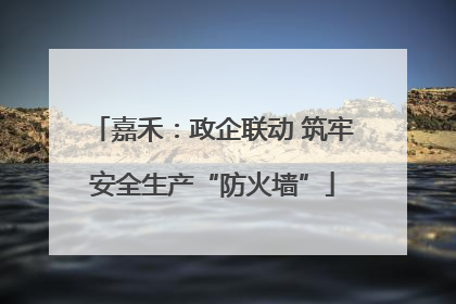 嘉禾：政企联动 筑牢安全生产“防火墙”