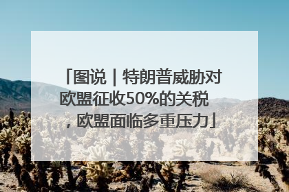 图说｜特朗普威胁对欧盟征收50%的关税，欧盟面临多重压力