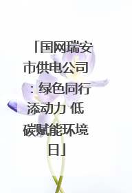 国网瑞安市供电公司：绿色同行添动力 低碳赋能环境日