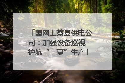 国网上蔡县供电公司：加强设备巡视 护航“三夏”生产