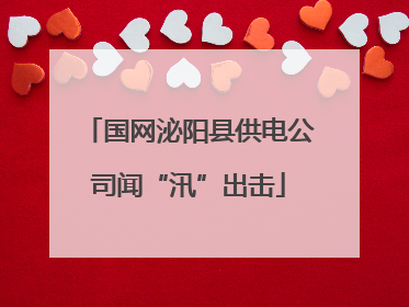 国网泌阳县供电公司闻“汛”出击