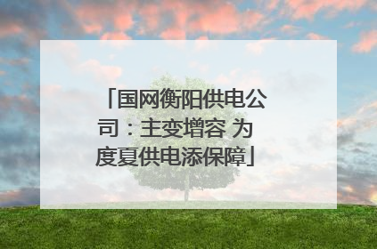 国网衡阳供电公司：主变增容 为度夏供电添保障