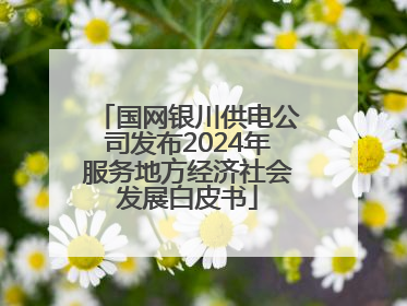 国网银川供电公司发布2024年服务地方经济社会发展白皮书