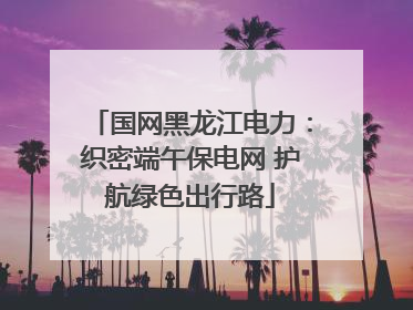 国网黑龙江电力：织密端午保电网 护航绿色出行路