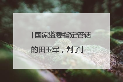 国家监委指定管辖的田玉军，判了