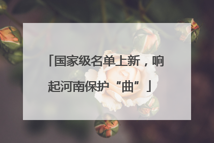 国家级名单上新，响起河南保护“曲”