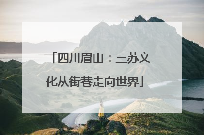 四川眉山：三苏文化从街巷走向世界