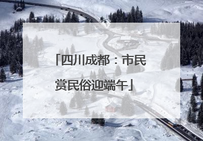 四川成都：市民赏民俗迎端午