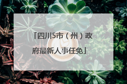 四川5市（州）政府最新人事任免