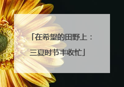 在希望的田野上：三夏时节丰收忙