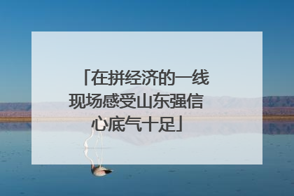 在拼经济的一线现场感受山东强信心底气十足