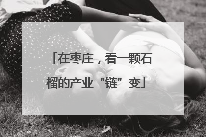 在枣庄，看一颗石榴的产业“链”变