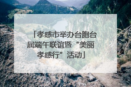 孝感市举办台胞台属端午联谊暨“美丽孝感行”活动