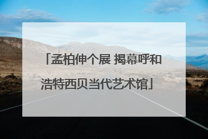 孟柏伸个展 揭幕呼和浩特西贝当代艺术馆