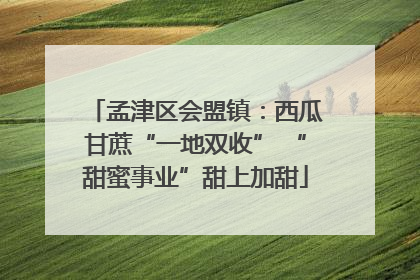 孟津区会盟镇：西瓜甘蔗“一地双收” “甜蜜事业”甜上加甜