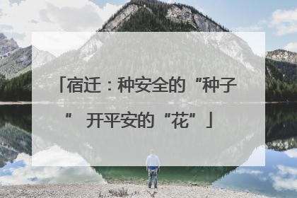 宿迁：种安全的“种子” 开平安的“花”