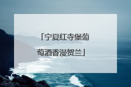 宁夏红寺堡葡萄酒香漫贺兰
