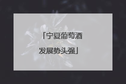 宁夏葡萄酒发展势头强