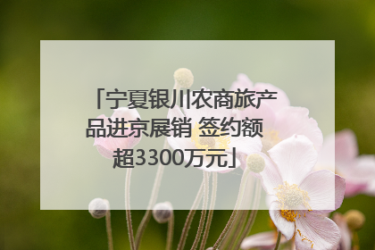 宁夏银川农商旅产品进京展销 签约额超3300万元