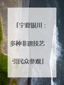 宁夏银川：多种非遗技艺引民众参观
