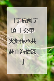 宁夏闽宁镇 十公里火炬传承共赴山海情深