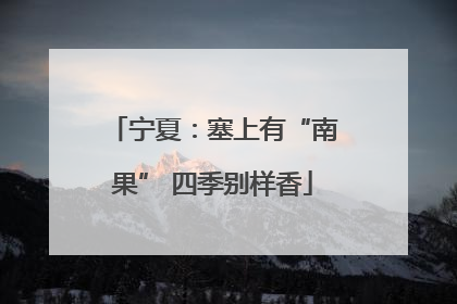 宁夏：塞上有“南果” 四季别样香