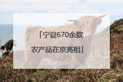 宁夏670余款农产品在京亮相