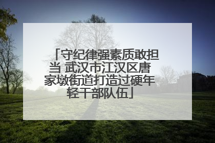守纪律强素质敢担当 武汉市江汉区唐家墩街道打造过硬年轻干部队伍
