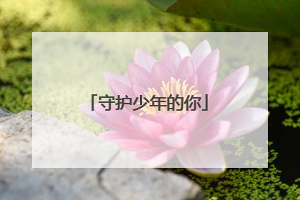 守护少年的你