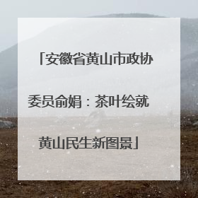 安徽省黄山市政协委员俞娟：茶叶绘就黄山民生新图景