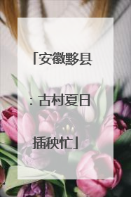 安徽黟县：古村夏日插秧忙