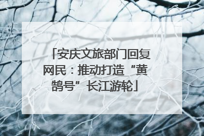 安庆文旅部门回复网民：推动打造“黄鹄号”长江游轮