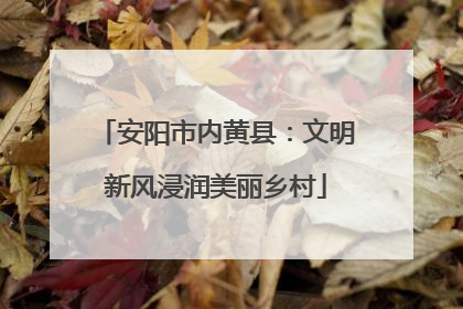 安阳市内黄县：文明新风浸润美丽乡村