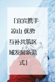 宜宾携手凉山 优势互补共筑区域发展新范式