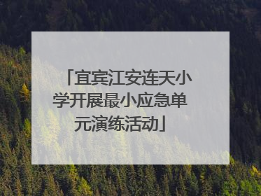 宜宾江安连天小学开展最小应急单元演练活动