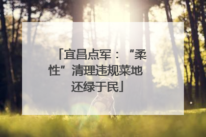 宜昌点军：“柔性”清理违规菜地 还绿于民