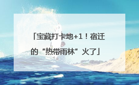 宝藏打卡地+1！宿迁的“热带雨林”火了