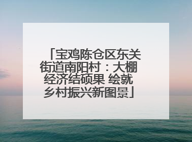 宝鸡陈仓区东关街道南阳村：大棚经济结硕果 绘就乡村振兴新图景