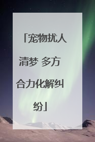 宠物扰人清梦 多方合力化解纠纷