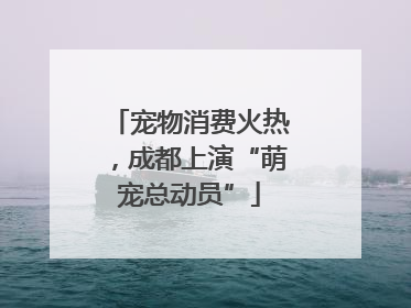宠物消费火热，成都上演“萌宠总动员”