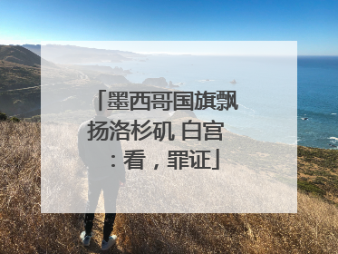 墨西哥国旗飘扬洛杉矶 白宫：看，罪证