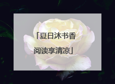夏日沐书香 阅读享清凉