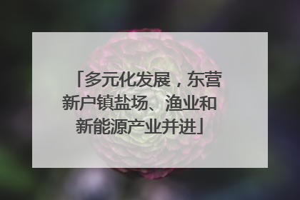 多元化发展，东营新户镇盐场、渔业和新能源产业并进