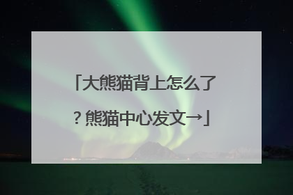 大熊猫背上怎么了？熊猫中心发文→