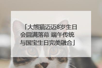 大熊猫迈迈8岁生日会圆满落幕 端午传统与国宝生日完美融合