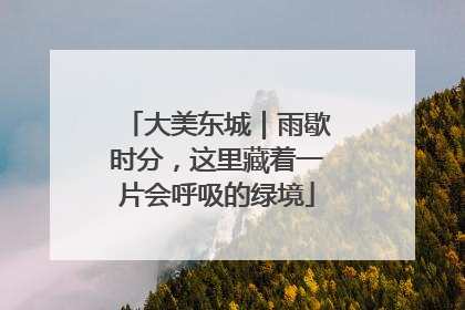 大美东城｜雨歇时分，这里藏着一片会呼吸的绿境